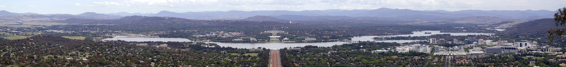 Possum removal in Canberra