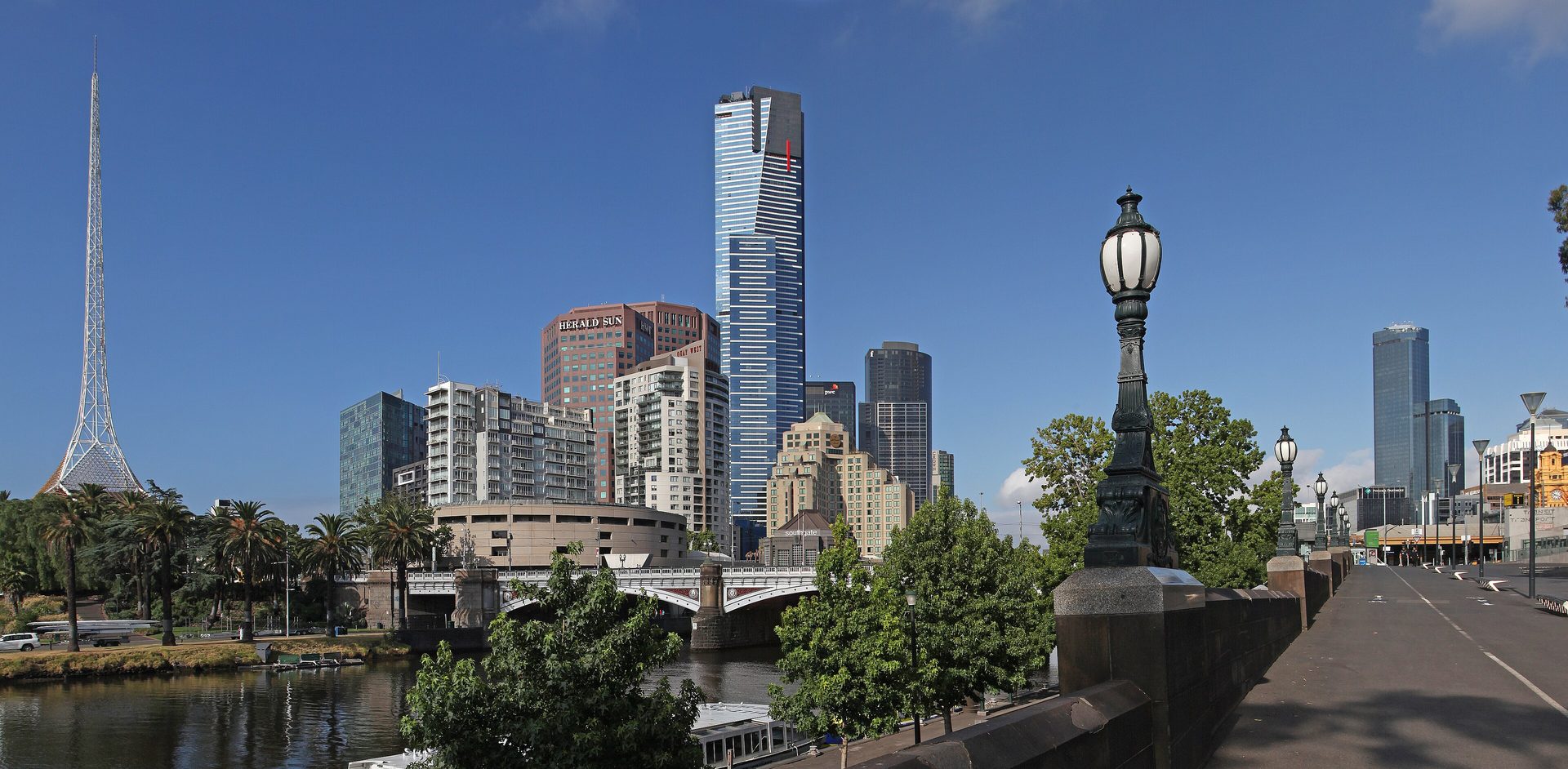 Possum removal in Melbourne