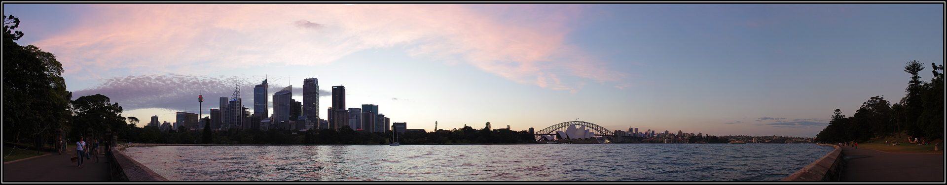Possum removal in Sydney