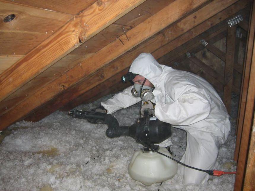 Rodent Control
